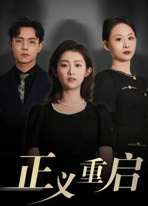 沉默的证词 律政悬疑剧热播全集